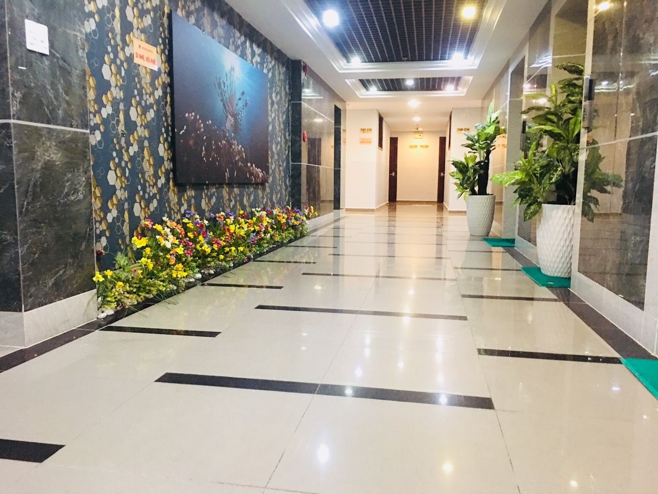 Khách sạn San Hô Khách sạn San Hô