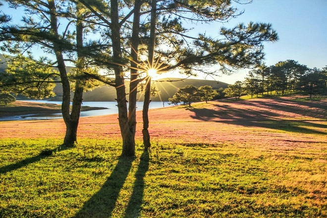 TOUR ĐÀ LẠT LỄ 30/4 1/5 3 NGÀY 3 ĐÊM GIÁ RẺ TOUR ĐÀ LẠT LỄ 30/4 1/5 3 NGÀY 3 ĐÊM GIÁ RẺ