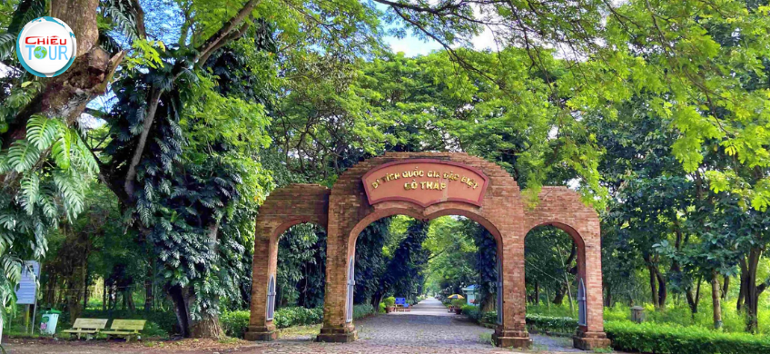 Tour Cao Lãnh Đồng Tháp mùa nước nổi giá rẻ