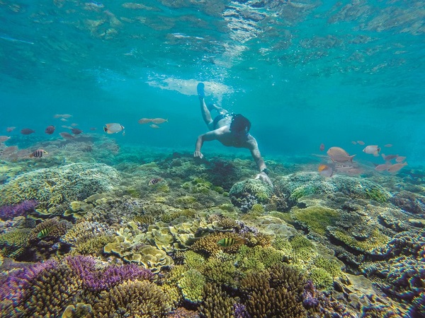 tour-quy-nhon-phu-yen-3-ngay-3-dem-gia-re