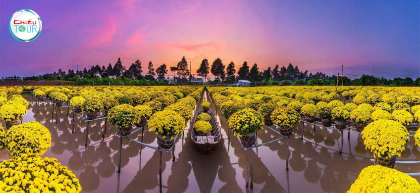 Tour Cao Lãnh Đồng Tháp mùa nước nổi giá rẻ