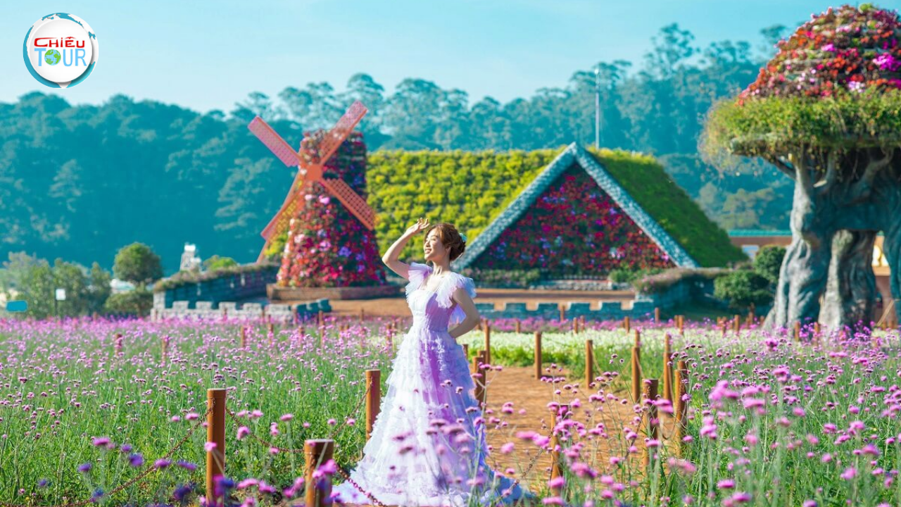 Tour Đà Lạt 3 Ngày 2 Đêm giá rẻ