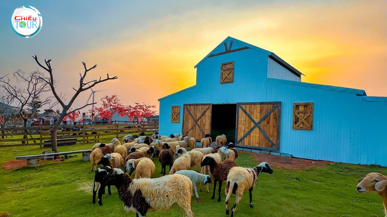 Tour du lịch TPPHCM - Bình Dương - Phan Thiết 4N3D ghép đoàn