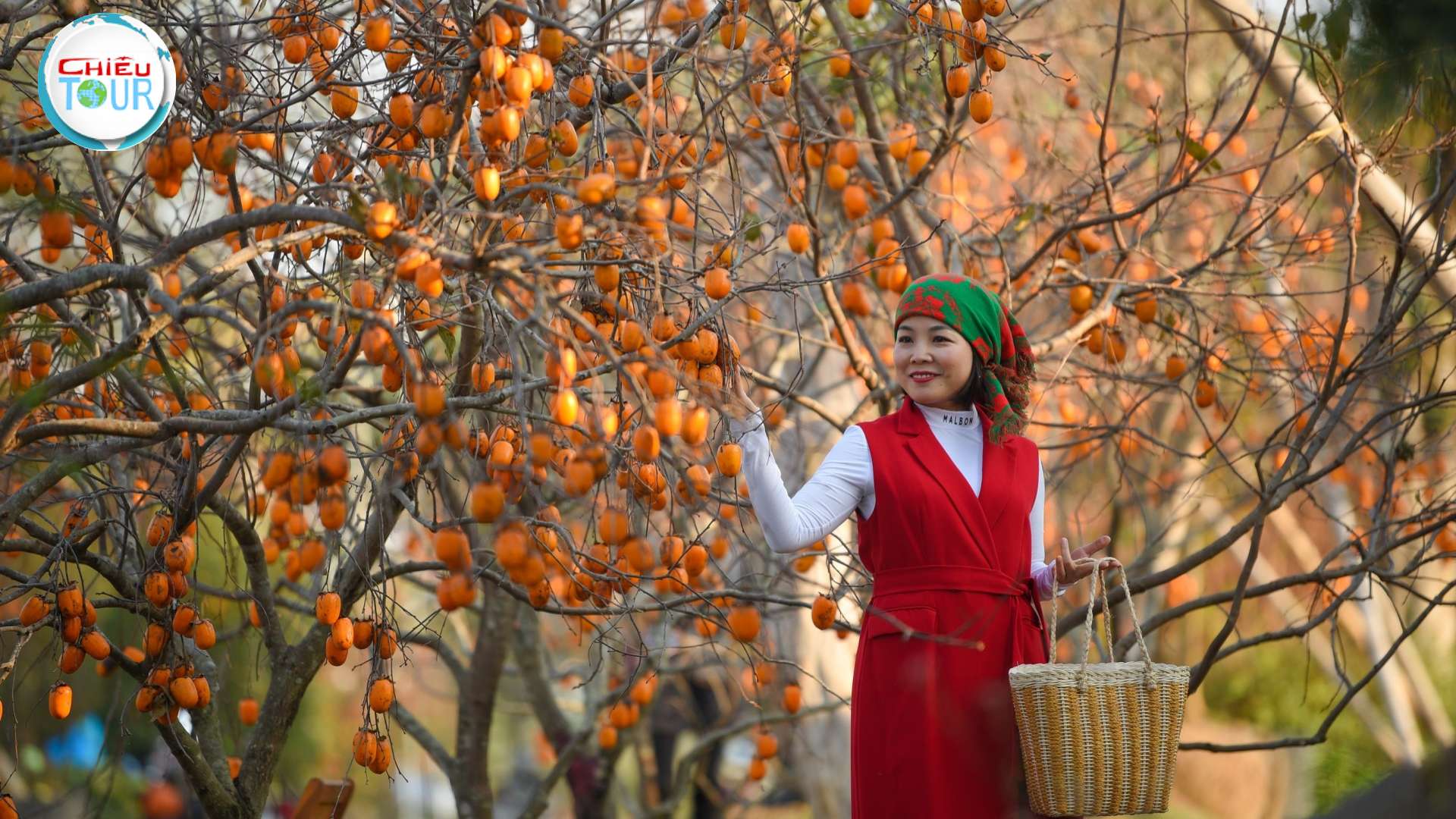 Tour du lịch Điện Biên - Mai Châu - Mộc Châu 4N3D giá rẻ