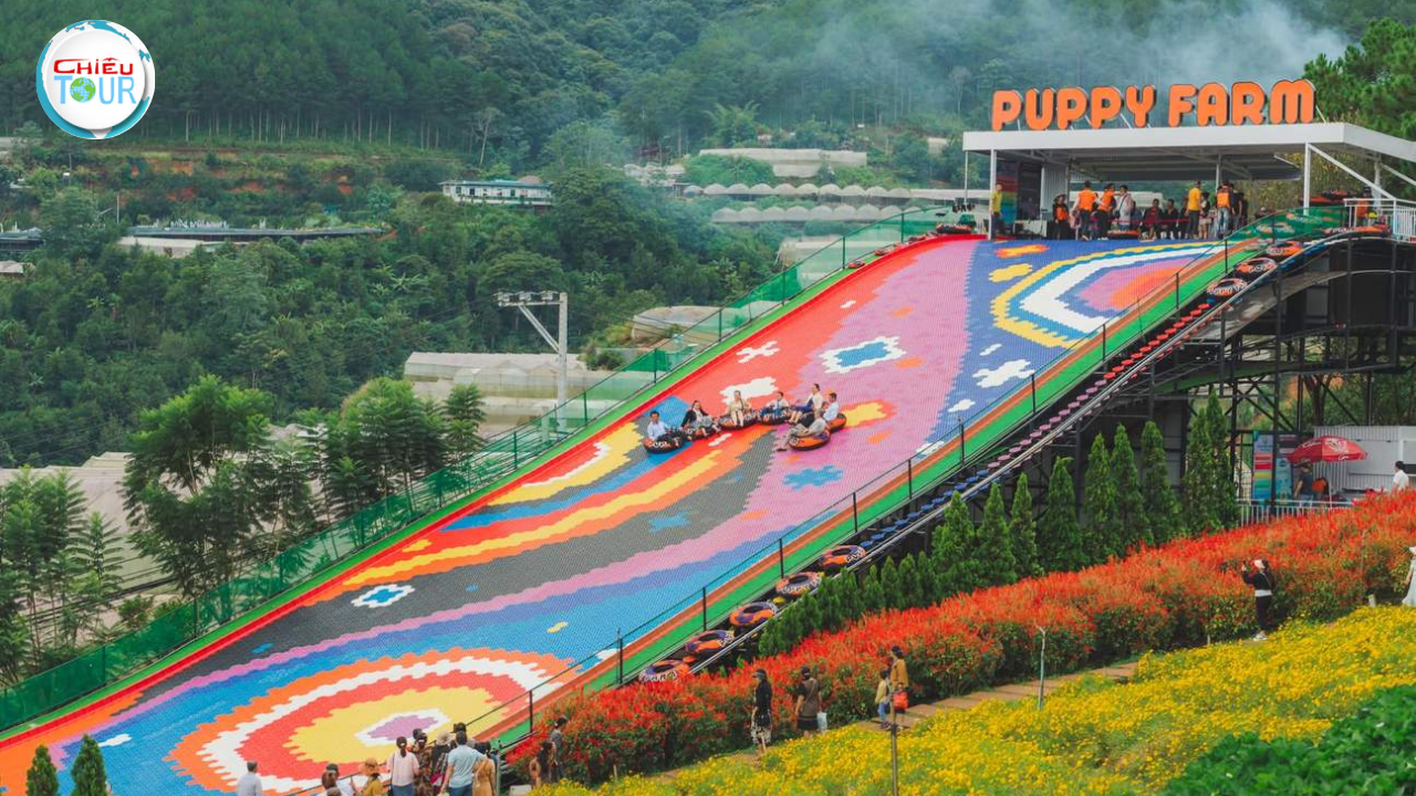 Tour du lịch Đà Lạt 3 Ngày 3 Đêm