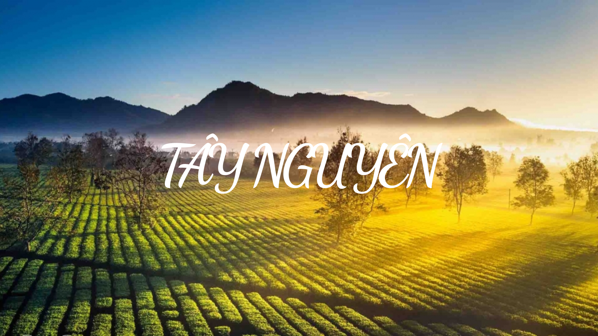 Tour du lịch Tây Nguyên 3 Ngày 3 Đêm ghép đoàn