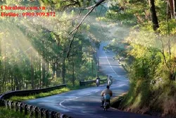 TOUR DU LỊCH ĐÀ LẠT ĐI TỪ PHAN THIÊT GIÁ RẺ