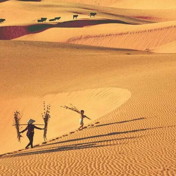 TOUR TPHCM - PHAN THIẾT - NINH CHỮ - NHA TRANG 5 NGÀY 4 ĐÊM