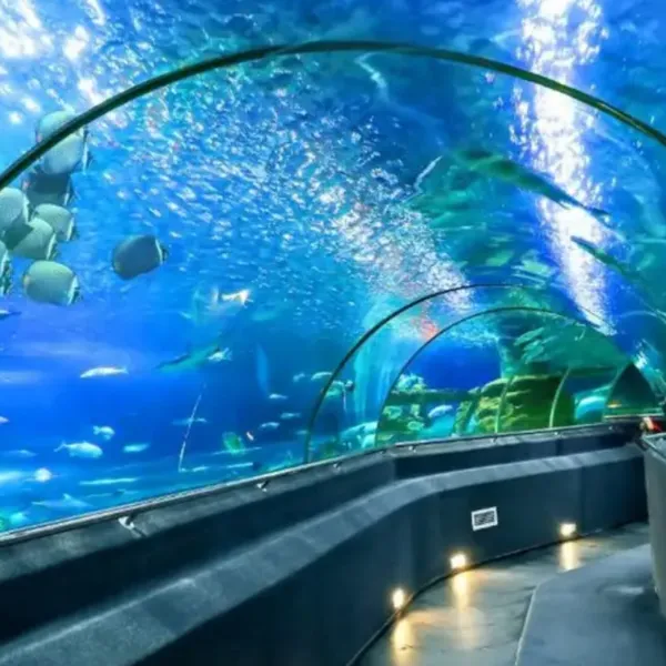 TOUR NHA TRANG TẾT ÂM LỊCH 2026