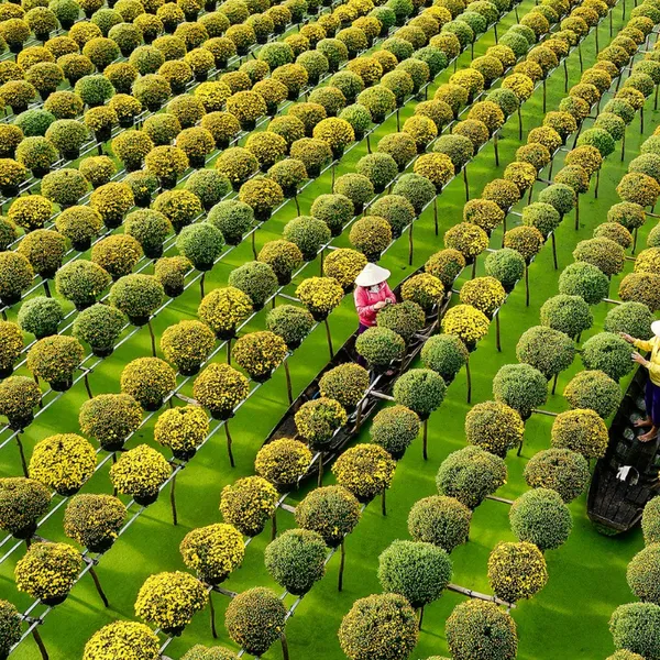 TOUR DU LỊCH CẦN THƠ - ĐỒNG THÁP - SA ĐÉC 2 NGÀY 1 ĐÊM GHÉP ĐOÀN