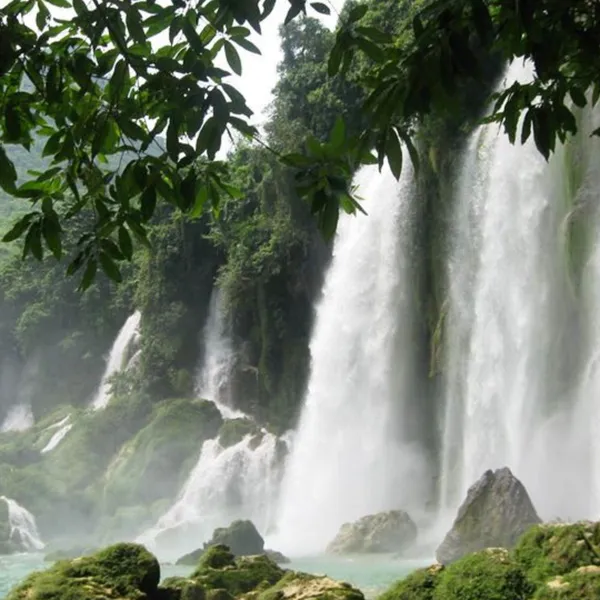 TOUR HÀ NỘI ĐI MỘC CHÂU GIÁ RẺ