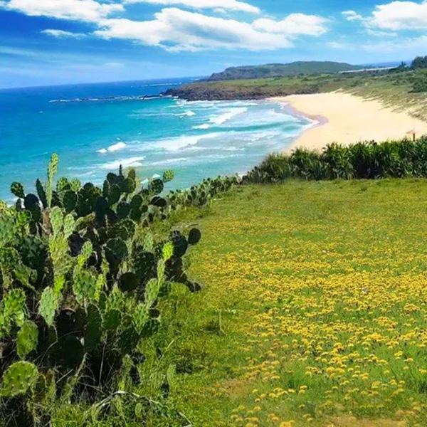 Tour Du Lịch Sài Gòn - Phú Yên 3 Ngày 2 Đêm