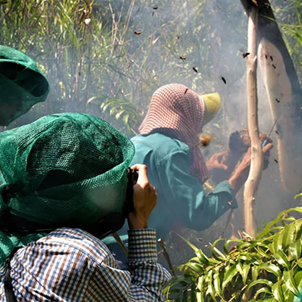 Tour Du Lịch Cà Mau - Rừng U Minh 2N2Đ