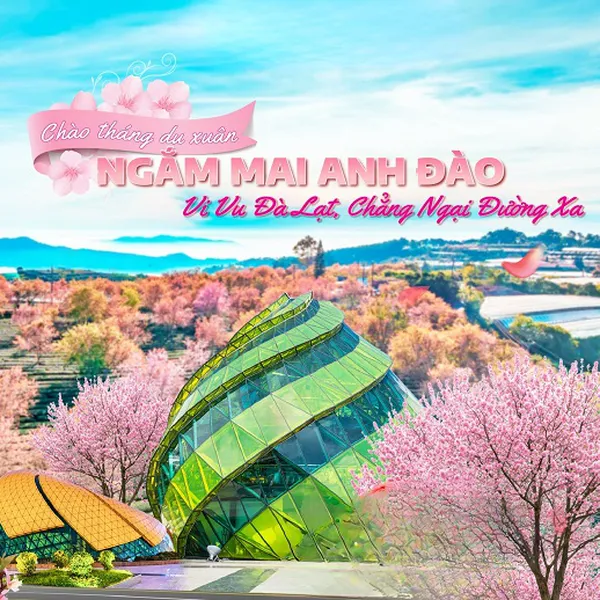 Tour Teambuilding Đà Lạt 3 Ngày 3 Đêm