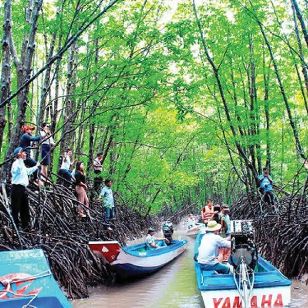 Tour Du Lịch Cần Thơ - Cà Mau - Đất Mũi 2 Ngày 1 Đêm