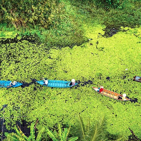 Tour Du Lịch Cà Mau - Rừng U Minh 2N2Đ