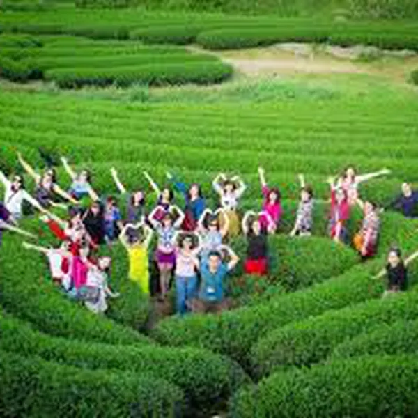 TOUR TPHCM - HÀ NỘI - MỘC CHÂU 3 NGÀY 2 ĐÊM