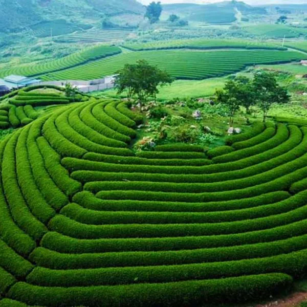 Tour HCM - Hà Nội - Hạ Long - Sa Pa 05 ngày 04 đêm giá rẻ