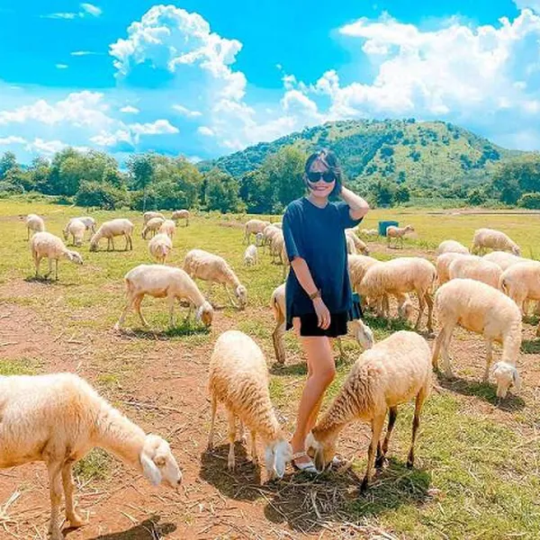 TOUR ĐỒNG THÁP VŨNG TÀU 2 NGÀY 1 ĐÊM