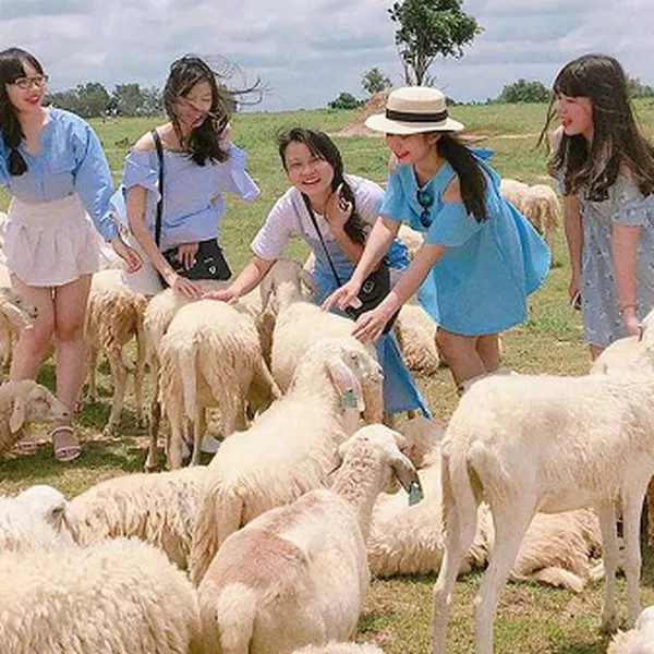 TOUR ĐỒNG THÁP VŨNG TÀU 2 NGÀY 1 ĐÊM