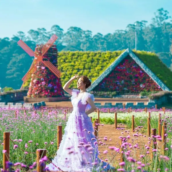 Tour du lịch Đà Lạt 3 Ngày 2 Đêm