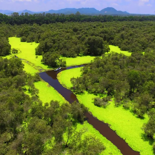 Tour Miền Tây Mùa Nước Nổi An Giang - Châu Đốc - Rừng Tràm Trà Sư