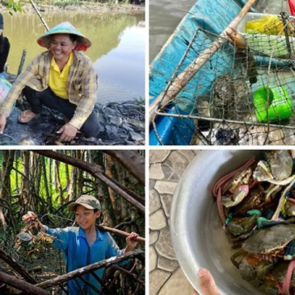 Tour Du Lịch Cần Thơ - Cà Mau - Săn Cua Đất Mũi