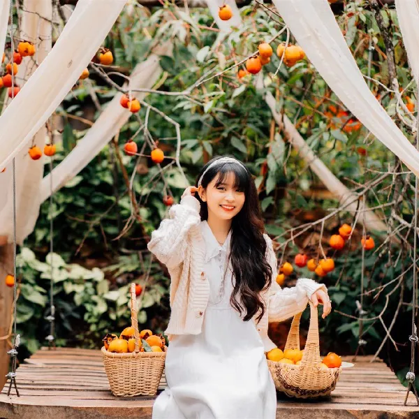 Tour Du Lịch Đà Lạt 3 Ngày 3 Đêm Giá Rẻ