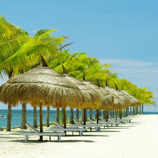 Tour Du Lịch Nha Trang khuyến mãi giá rẻ 2025