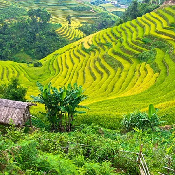 TOUR TPHCM - HÀ NỘI - MAI CHÂU 3 NGÀY 2 ĐÊM