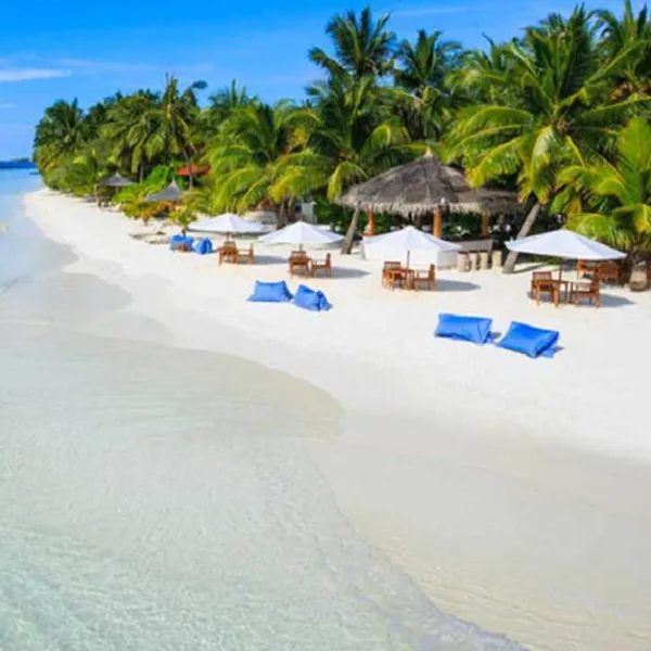 CUỐI NĂM NÊN ĐI TOUR DU LỊCH PHAN THIẾT 2 NGÀY 1 ĐÊM