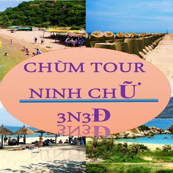 Tour Đồng Tháp khởi hành đi Ninh Chữ giá rẻ