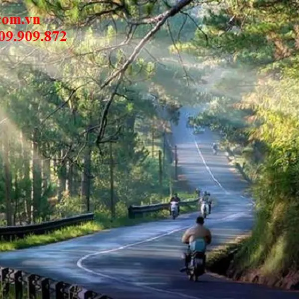 Tour du lịch Đà Lạt 1 ngày