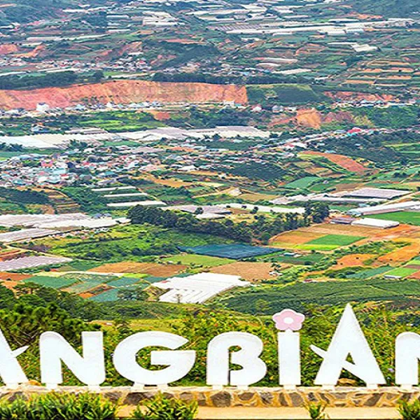 TOUR DU LỊCH ĐÀ LẠT TẾTÂM LỊCH 3 NGÀY 2 ĐÊM