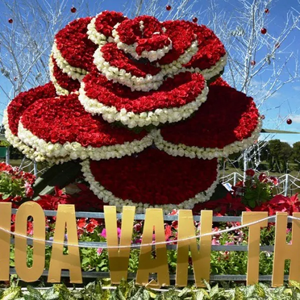 TOUR DU LỊCH ĐÀ LẠT TỪ HÀ NỘI