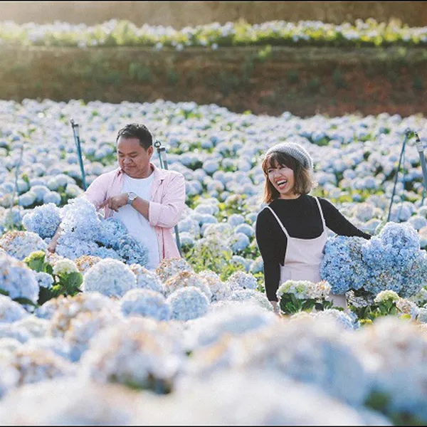 TOUR DU LỊCH ĐÀ LẠT TỪ TIỀN GIANG