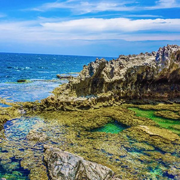 TOUR DU LỊCH ĐỒNG NAI ĐI NHA TRANG GIÁ RẺ