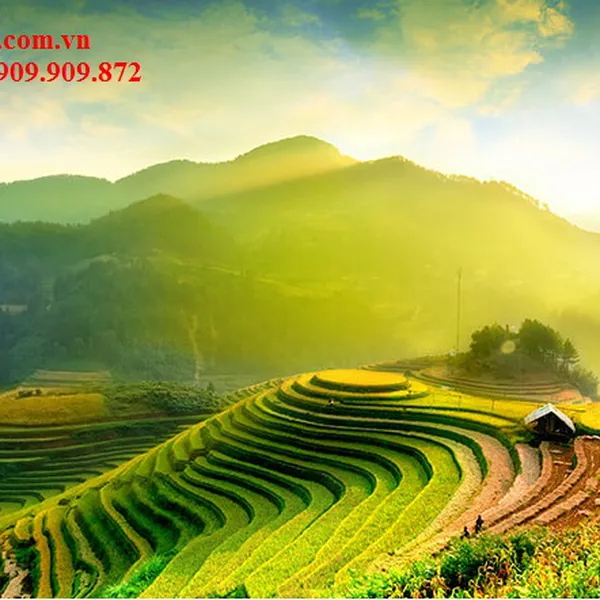 TOUR LONG AN ĐI HÀ NỘI - TÂY BẮC GIÁ RẺ