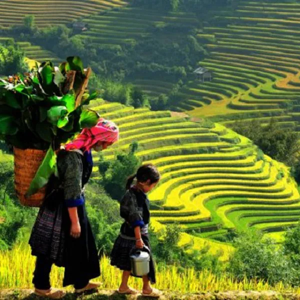 TP.HCM – HÀ NỘI – HÀM RỒNG – CÁT CÁT – LAO CHẢI – TẢ VAN