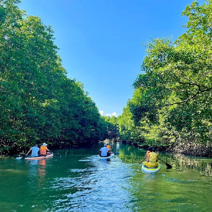 Tour Du Lịch Hà Nội Quy Nhơn Phú Yên Giá Rẻ