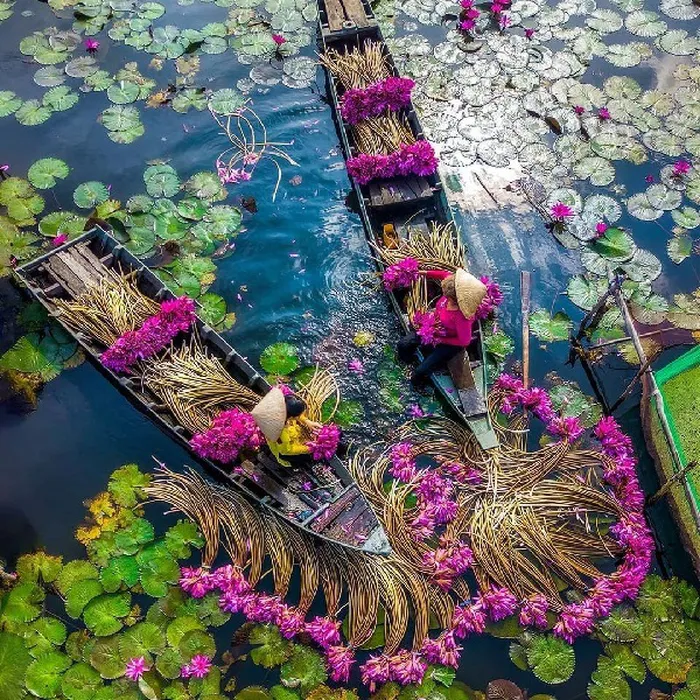 Tour Miền Tây Đồng Tháp - An Giang - Cà Mau - Cần Thơ