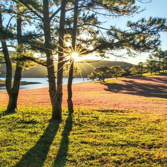 TOUR DU LỊCH ĐÀ LẠT 1 NGÀY TRẢI NGHIỆM