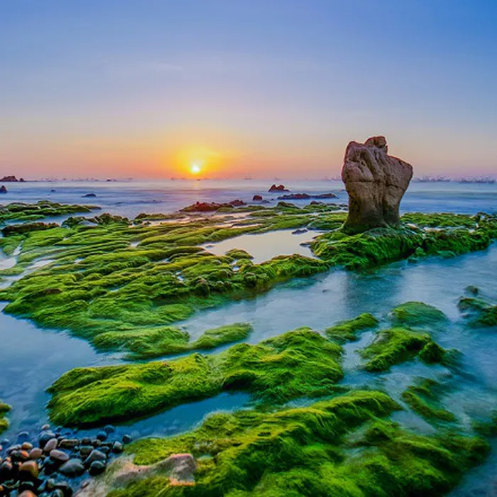 TOUR DU LỊCH PHAN THIẾT TỪ ĐỒNG NAI