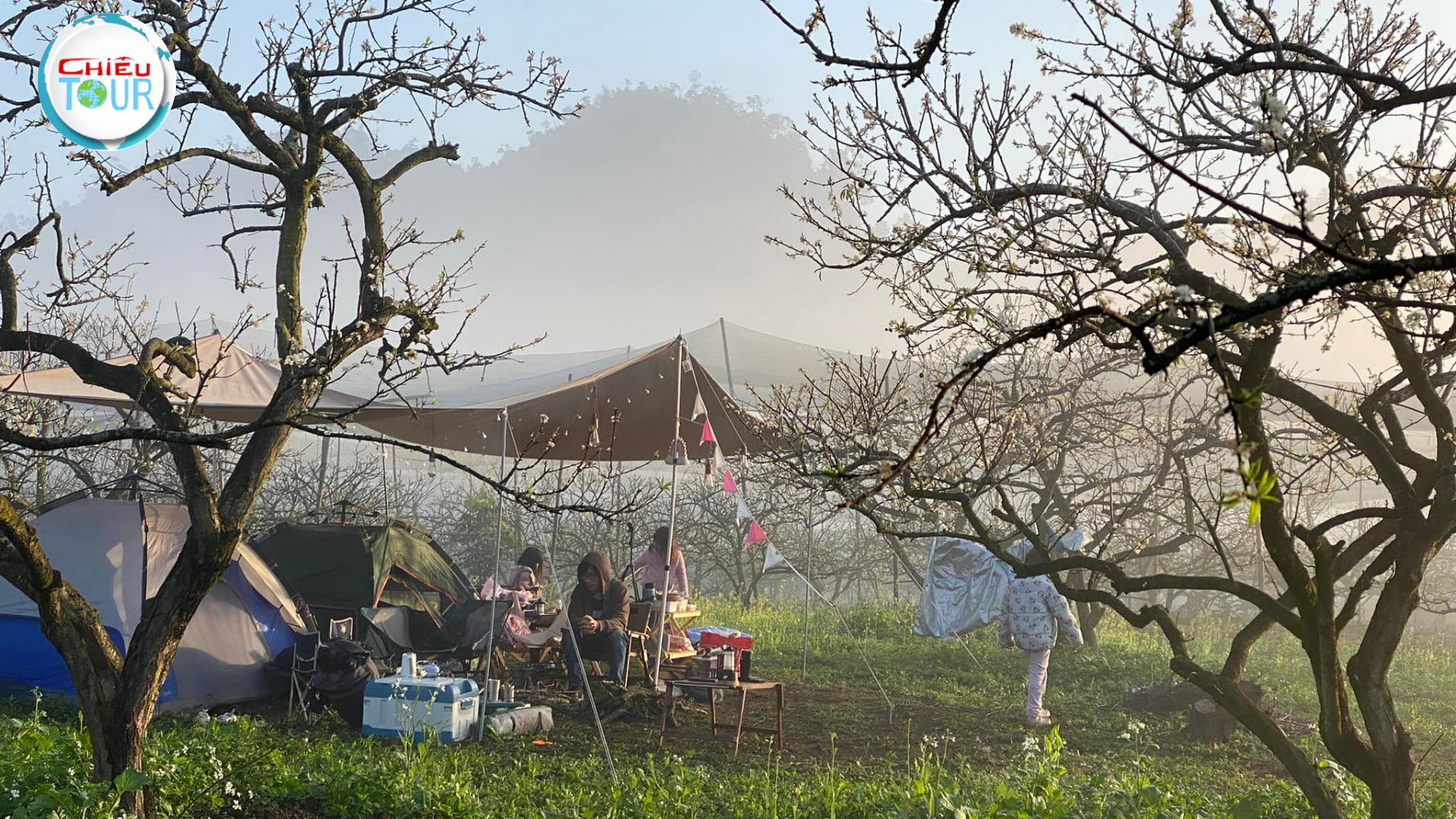 Tour du lịch Điện Biên - Mai Châu - Mộc Châu 4N3D giá rẻ