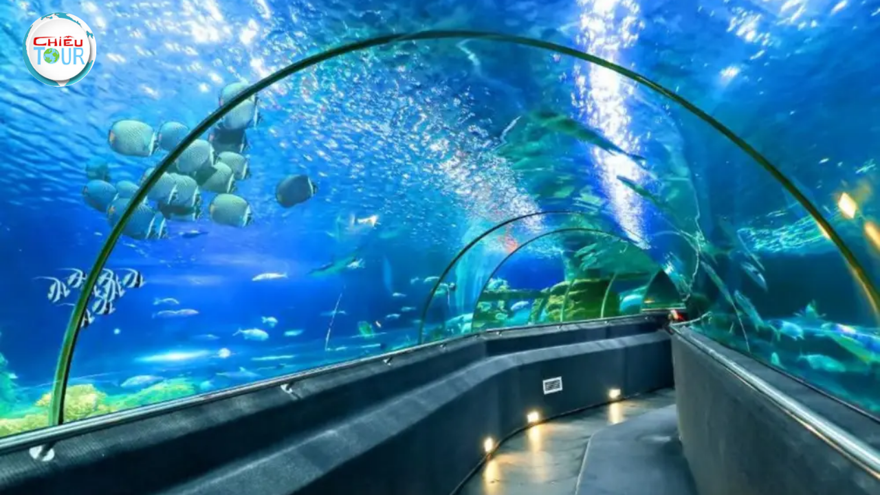 Tour Nha Trang 3 Ngày 3 Đêm