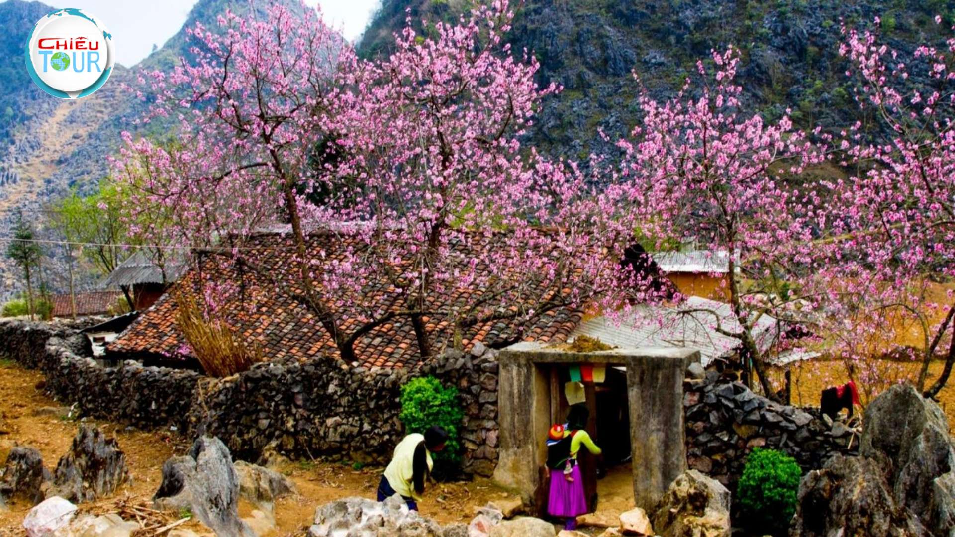 Tour du lịch Điện Biên - Mai Châu - Mộc Châu 4N3D giá rẻ