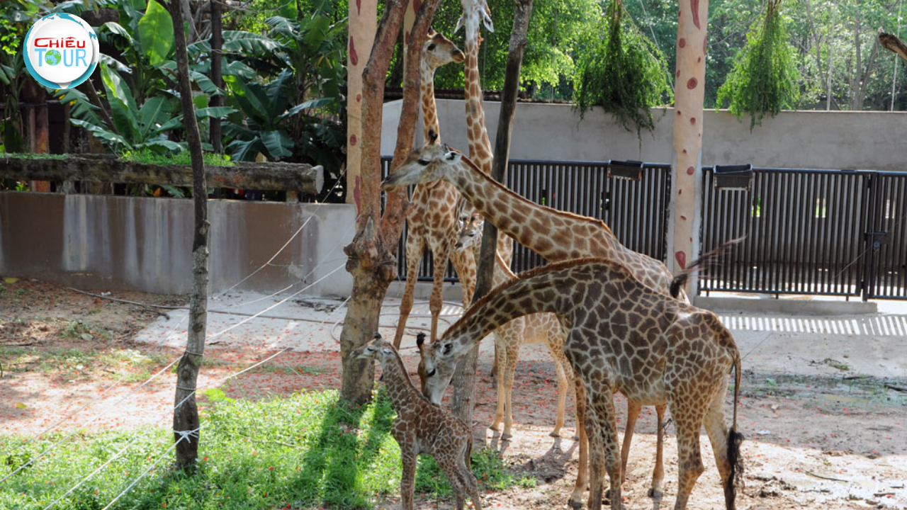 Tour du lịch TPPHCM - Bình Dương - Phan Thiết 4N3D ghép đoàn