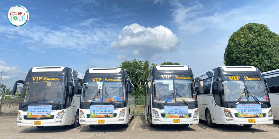 Dịch vụ cho thuê xe 45 chỗ tại Vũng Tàu giá rẻ