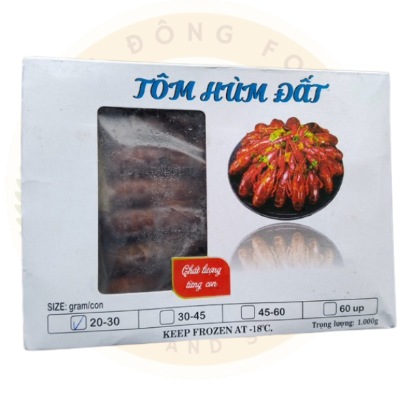 Tôm hùm đất nhập khẩu size 20-30 Tôm hùm đất nhập khẩu size 20-30