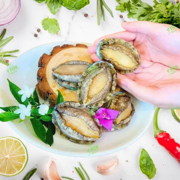 Bào Ngư Y Fish 1kg